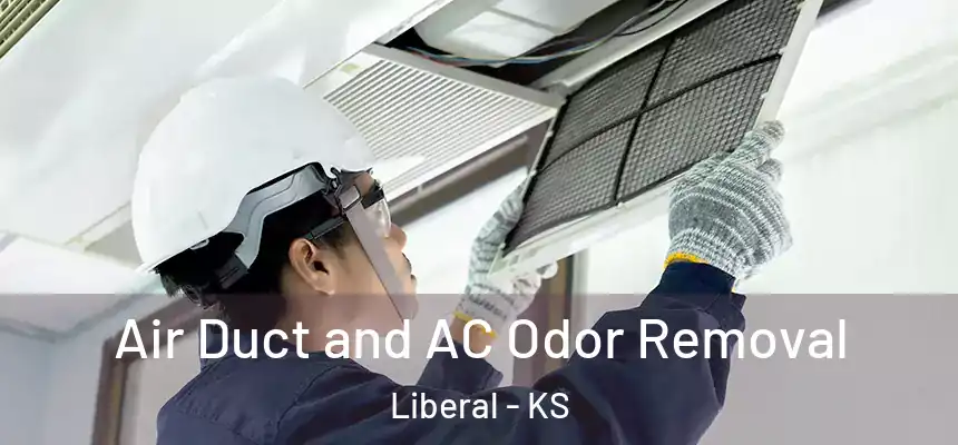  Air Duct and AC Odor Removal Liberal - KS