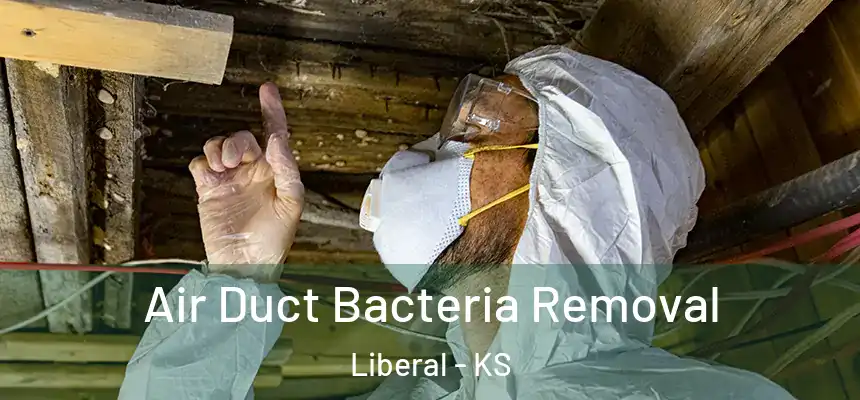  Air Duct Bacteria Removal Liberal - KS