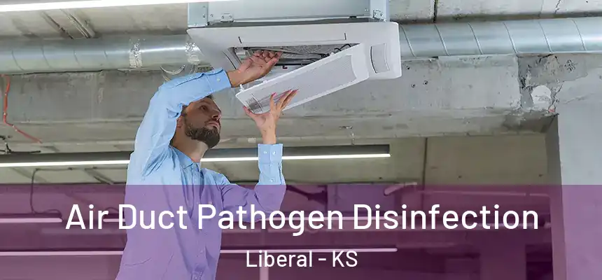  Air Duct Pathogen Disinfection Liberal - KS