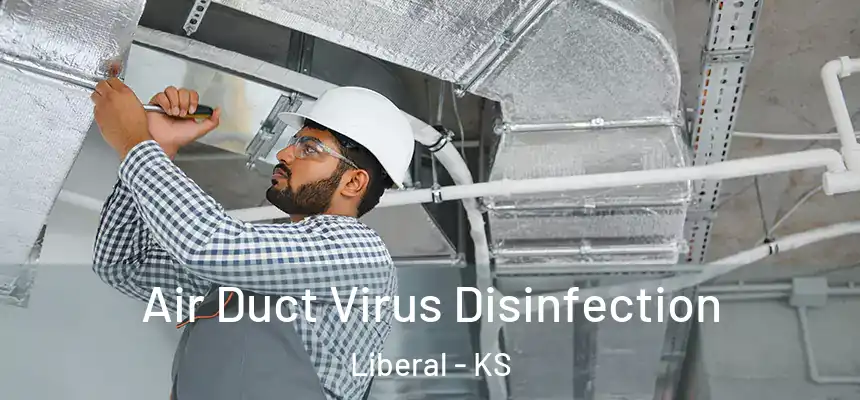  Air Duct Virus Disinfection Liberal - KS