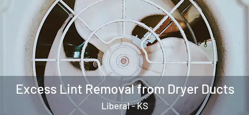 Excess Lint Removal from Dryer Ducts Liberal - KS