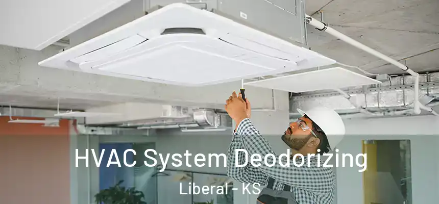  HVAC System Deodorizing Liberal - KS