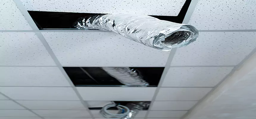 Our Air Duct Pet Hair Removal Services in Liberal, KS