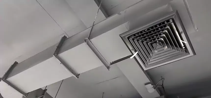 Our Pest Removal From Ducts Services in Liberal, KS