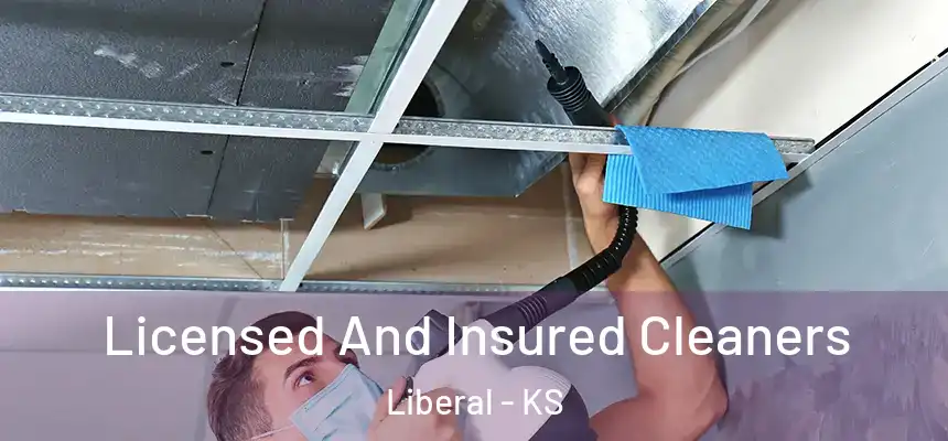  Licensed And Insured Cleaners Liberal - KS