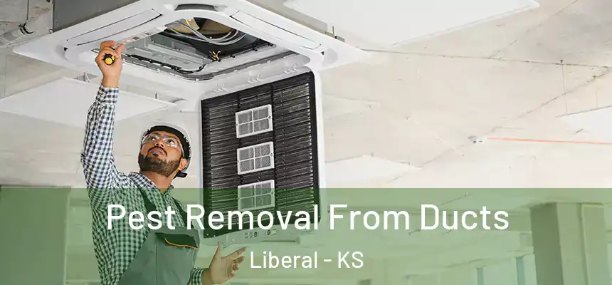  Pest Removal From Ducts Liberal - KS