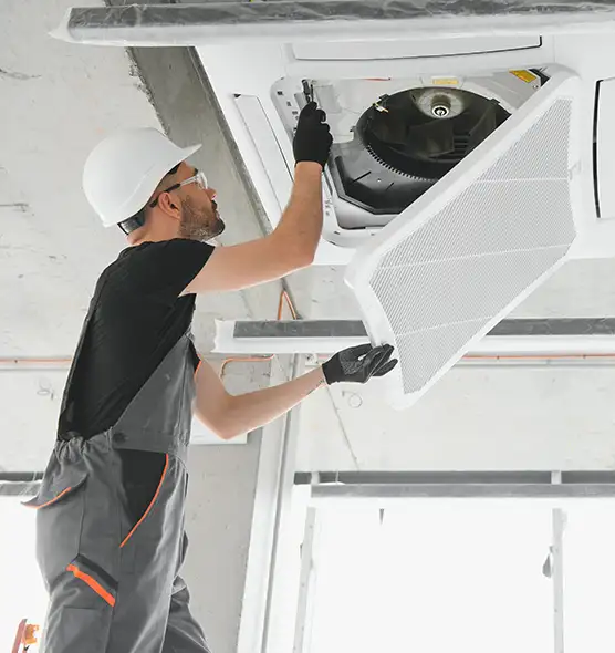 About Air Duct Rodent Removal in Liberal, KS