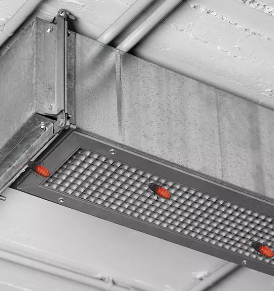 Affordable Insect Removal from Air Ducts in Liberal, KS