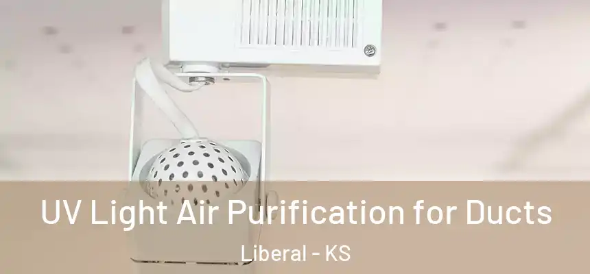  UV Light Air Purification for Ducts Liberal - KS